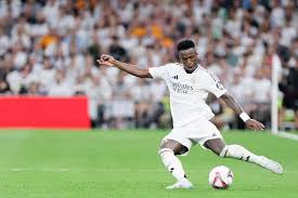 他们将这些 他们将这些